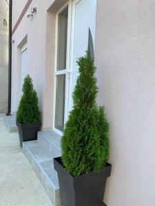 松博尔Apartman Spring的相册照片