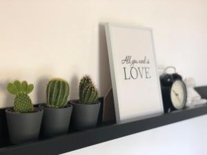 松博尔Apartman Spring的相册照片