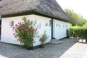 a building with a thatched roof with roses on it at Föhrienhaus in Midlum