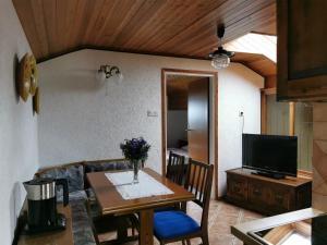 TV a/nebo společenská místnost v ubytování Apartment Žvab
