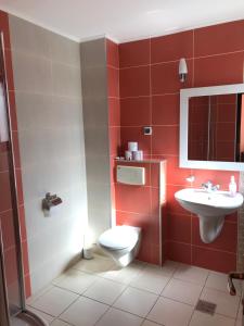a bathroom with a toilet and a sink at Silviu in Baile Unu Mai