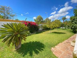 a garden with a palm tree in a yard at Villa Los Balcones in Torrevieja