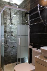 a bathroom with a shower with a toilet and a sink at Chambre d'hôtes à 5mn des plages in Patrimonio