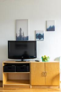 a flat screen tv sitting on top of a wooden entertainment center at Tuure´s studio near to Art Museum in Turku