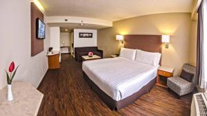 Postel nebo postele na pokoji v ubytování Holiday Inn Orizaba by IHG