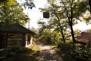 a dirt road next to a building and trees at "Pivnica i smestaj Jovanovic"- Rogljevacke pivnice in Rogljevo