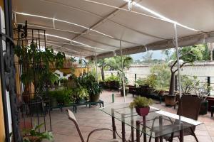 Gallery image of Hotel Boutique Casa Catrina in Oaxaca City