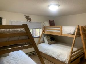Cette chambre comprend 3 lits superposés et une fenêtre. dans l'établissement Beaver Village Apartment, à Winter Park