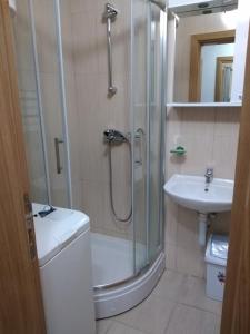 La salle de bains est pourvue d'une douche et d'un lavabo. dans l'établissement Apartman Matija, à Herceg-Novi