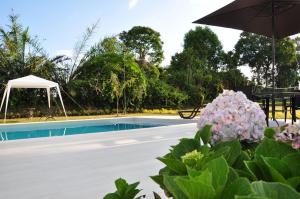 a swimming pool with an umbrella and some flowers at Finca El Arrullo in Puerto Espejo