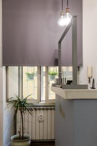 une cuisine avec un comptoir et une plante en pot dans l'établissement Eighty Four Rooms, à Rome