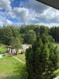 Blick auf einen Garten mit Bäumen und einem Zaun in der Unterkunft Ferienhaus Bärbelstein Barbarossa in Erlenbach