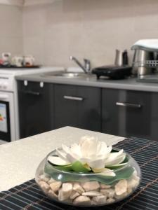 a plate with a flower on a counter in a kitchen at Mavrovo Twins Apartment in Mavrovo