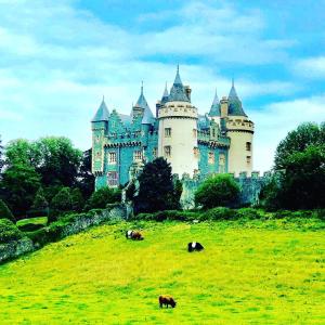 a castle on a grassy hill with animals in front of it at Dufferin Coaching Inn in Killyleagh