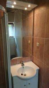 ein Badezimmer mit Waschbecken und Spiegel in der Unterkunft Near beach - Apartment Butiga in Rovinj