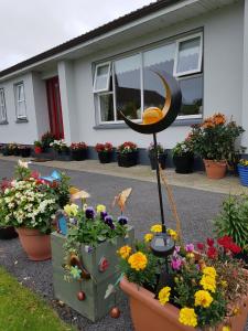a display of flowers in front of a house at Hillgrove House in Boyle