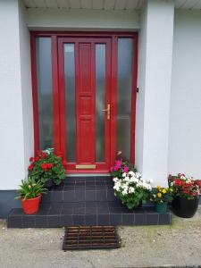 eine rote Tür mit drei Topfpflanzen davor in der Unterkunft Hillgrove House in Boyle