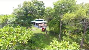 an aerial view of a house in the middle of trees at WINDOWS AT THE SEA in San Juanillo