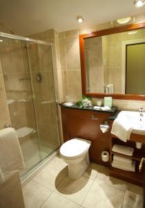 a bathroom with a shower and a toilet and a sink at Westenra Arms Hotel in Monaghan