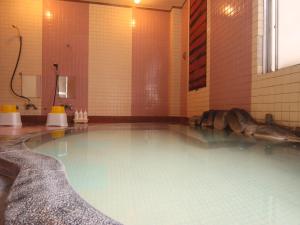 a large pool of water in a bathroom at Star Hotel Akakura in Myoko