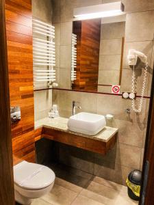 a bathroom with a toilet, sink, and shower at Hotel Modus in Łaziska Górne