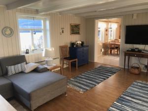 Larseng的住宿－布斯塔度假屋，带沙发和平面电视的客厅