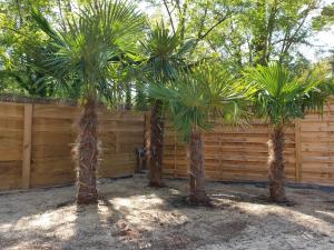 three palm trees in front of a wooden fence at Blue Ocean in Moliets-et-Maa