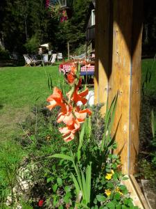 Giardino di Sastanci-Grahovaca