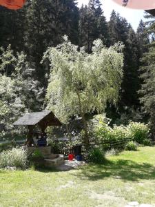 Giardino di Sastanci-Grahovaca