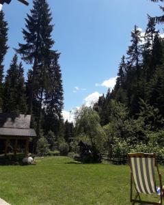 Paesaggio naturale nelle vicinanze del lodge