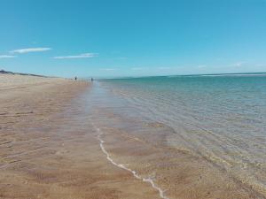 a beach with water and people in the distance at Blue Ocean in Moliets-et-Maa