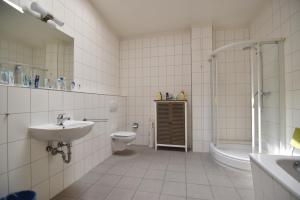 a bathroom with a sink and a toilet and a shower at Work and Stay Apartment Cologne- Fühlinger See 