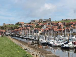 a bunch of boats are docked in a harbor at White Goose Cottage in Whitby