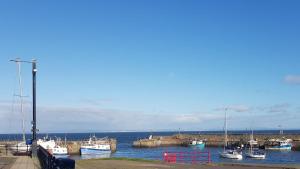 a group of boats docked in a harbor at Static Caravan for hire, budget friendly in Edinburgh