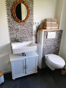 een badkamer met een wastafel, een toilet en een spiegel bij Fahrenbach-Alm in Tröstau