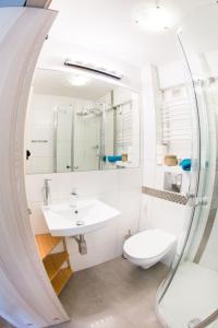 クリニツァ・ズドルイにあるWilla Zdrójのバスルーム(洗面台、トイレ、鏡付)