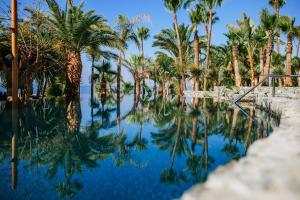 a pool of blue water with palm trees at Amathus Beach Hotel Limassol in Limassol