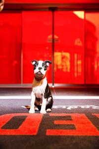 Foto da galeria de Radisson RED Hotel, Glasgow em Glasgow