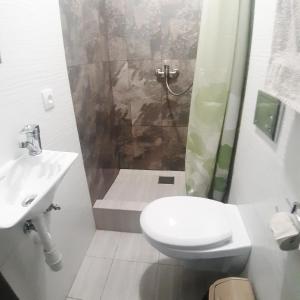 a bathroom with a toilet and a shower and a sink at Міни - готель в центрі Apartment in Center in Rivne