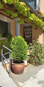 Vonkajšia záhrada v ubytovaní Casa del Portalón