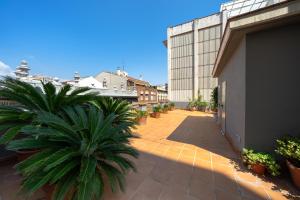 einen Innenhof eines Gebäudes mit einer Palme in der Unterkunft Bonavista Apartments - Passeig de Gracia in Barcelona