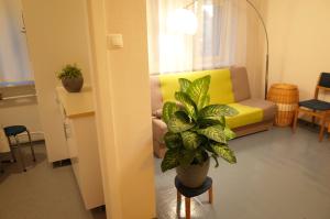 Gallery image of Apartment City Heart in Valmiera