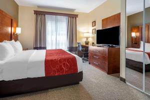 Voodi või voodid majutusasutuse Comfort Suites Newark - Harrison toas