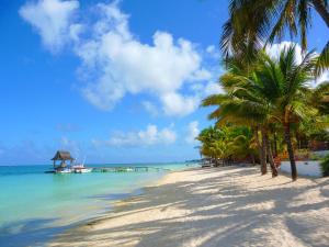 a beach with palm trees and a pier in the water at Villa Agata Mauritius in Mont Choisy
