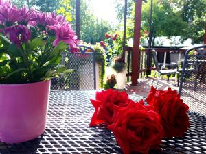 Alba Hotel في يورمالا: طاولة مع إناء من الزهور والورود الحمراء