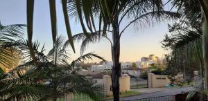 a view of a palm tree from a balcony at 57 on Plover in George