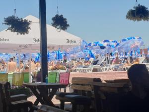 a group of people sitting at tables and umbrellas at a beach at Flamingo Resort in Belgrade