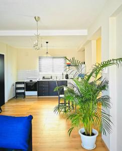 un salon avec une cuisine dotée d'une plante en pot dans l'établissement Kareem flat, à Larnaka