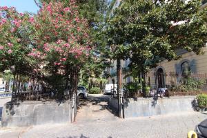 The surrounding neighborhood or a neighborhood close to the homestay