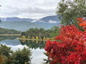 a view of a lake with mountains in the background at Bellevue in San Carlos de Bariloche +30 photos